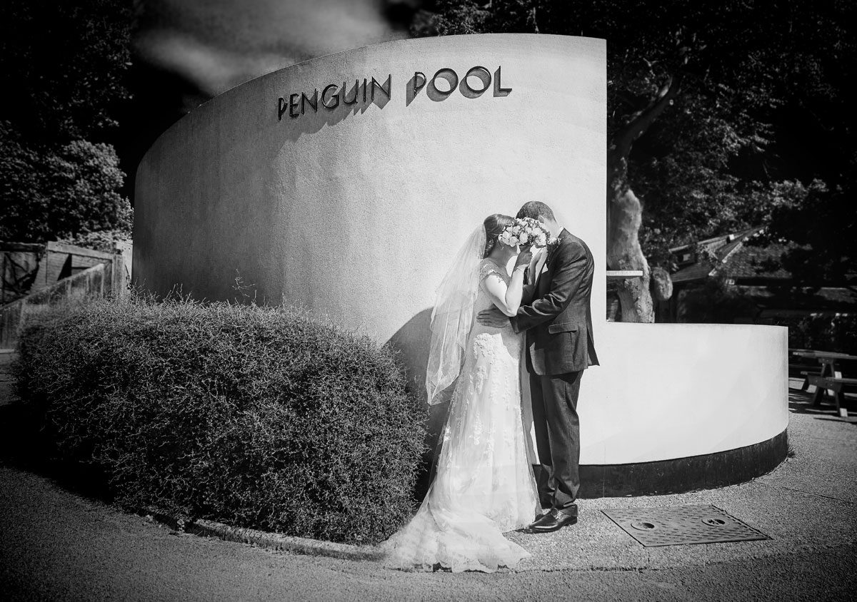 Wedding couple hide behind flowers at London Zoo Penguin Pool