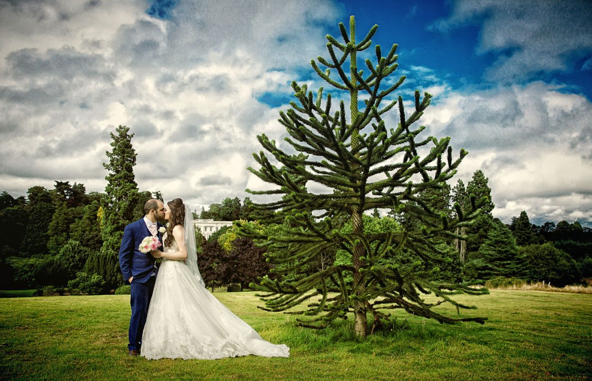 Wedding couple kiss by tree at Northcote House